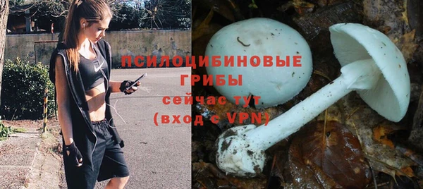 кокс Абдулино