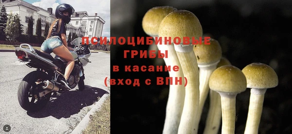 первитин Абаза