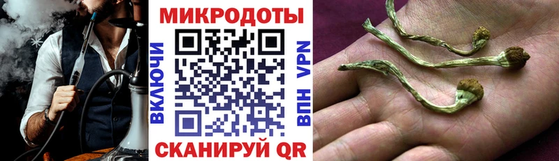 Галлюциногенные грибы MAGIC MUSHROOMS  kraken онион  Челябинск 